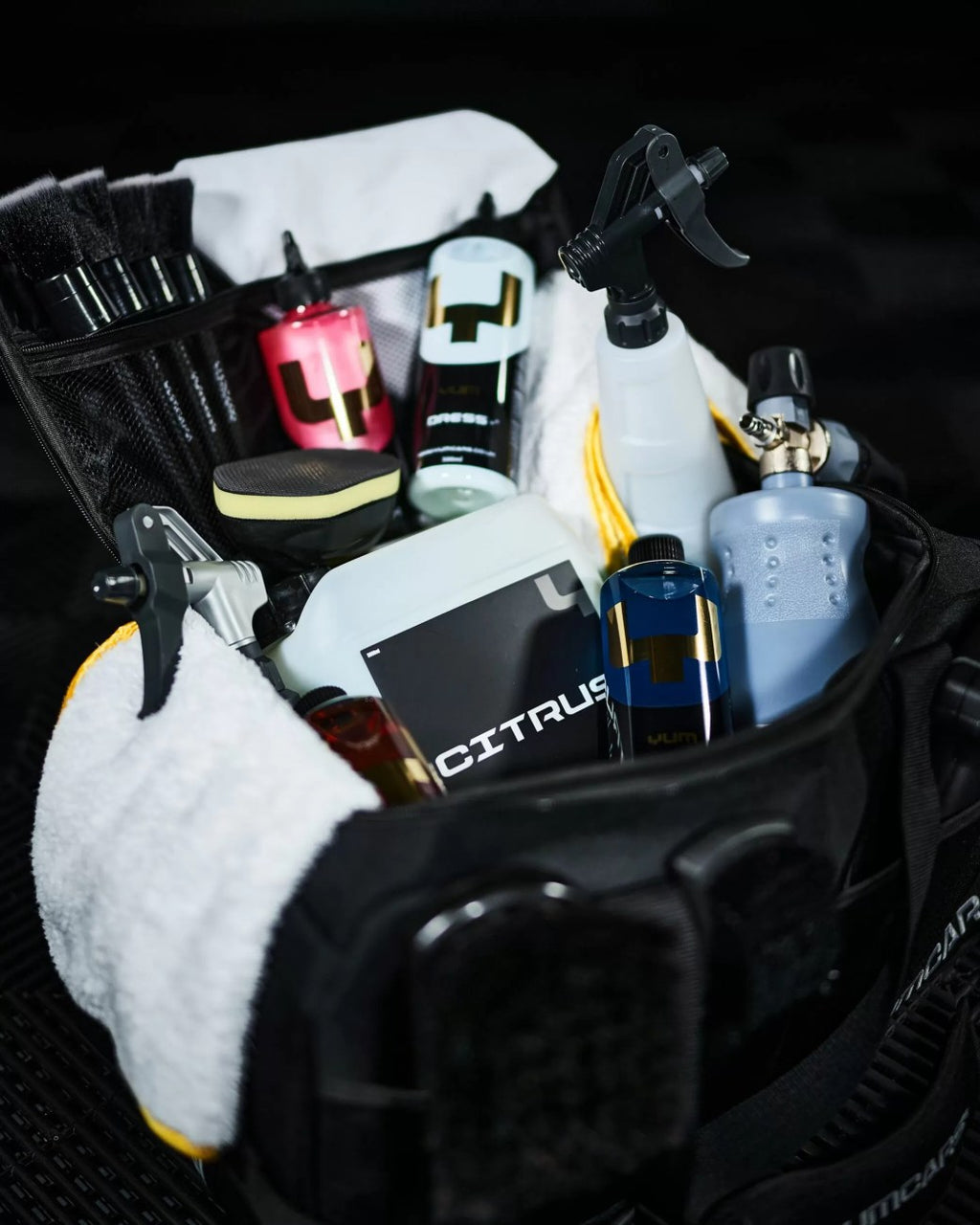 Detailing bag