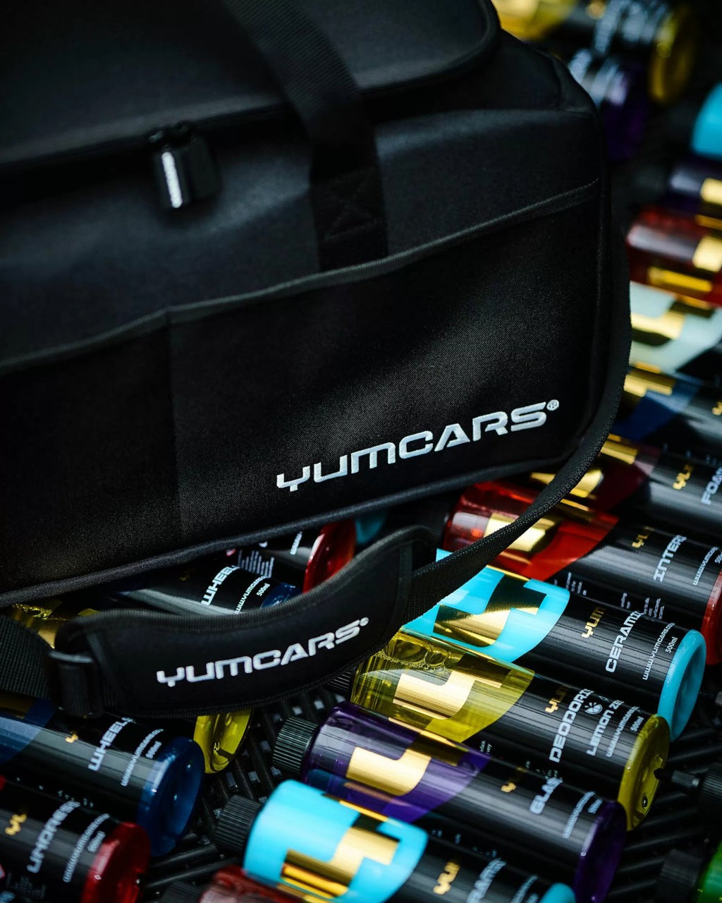 Detailing bag