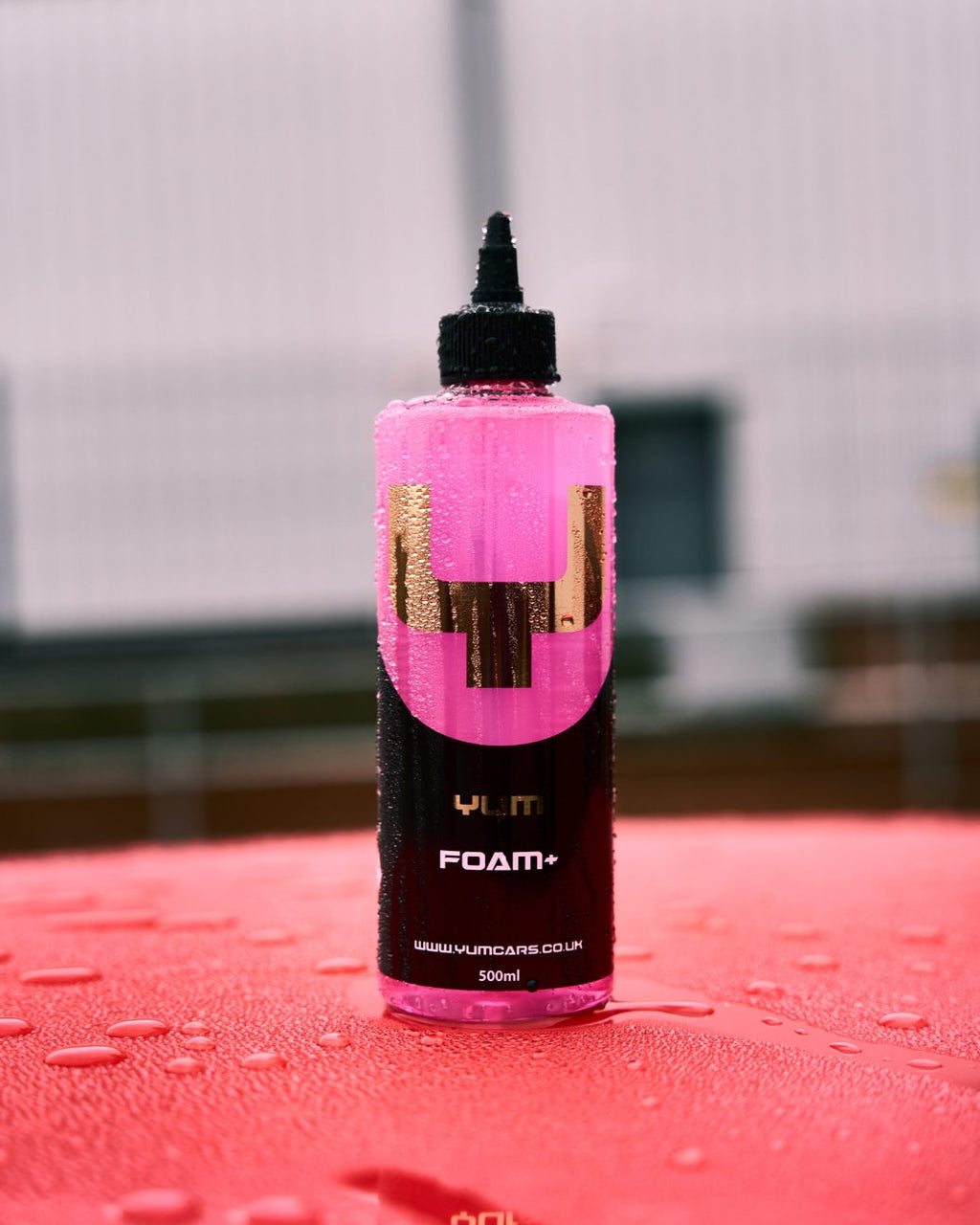 Yum Foam+